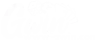 GWIN