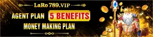 VIP
